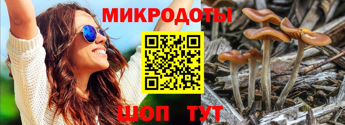 Псилоцибиновые грибы MAGIC MUSHROOMS Красный Сулин