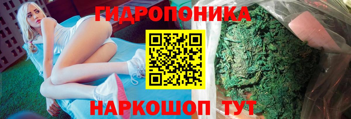 Конопля гибрид  МАРИХУАНА VHQ  Красный Сулин  Вход с VPN  Каннабис марихуана 